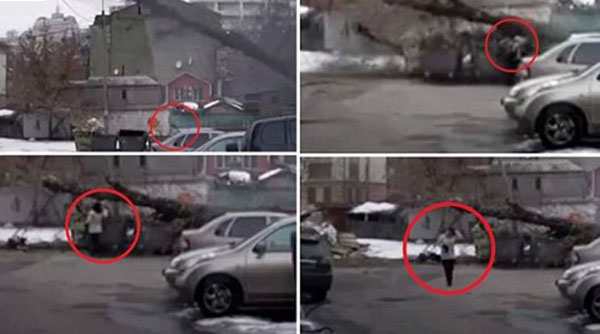 فيديو: سيدة تنجو من الموت بعد سقوط شجرة ضخمة بجانبها