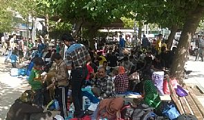 60 مليون لاجئ في العالم