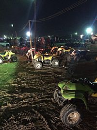 حملة لمواجهة ظاهرة البقيات عقب مصرع مواطنة