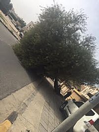 تعطل مصعد بالجابرية وحريق في الصليبية، وتصادم بالسالمية