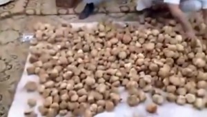 3545fe31fa2598a42d32e78d426dc57c_XL