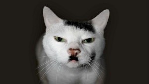 568fa242c46188ad2d8b4588