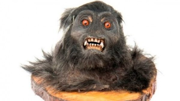 محكمة بريطانية تحكم بالسجن على رجل باع رؤوس قردة على موقع “إيباى”