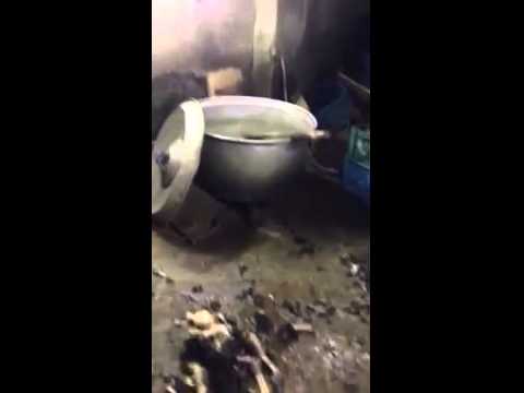 فيديو:فضيحه بالسعوديه…اكتشاف مسلخ للكلاب لبيع لحومها للمطاعم