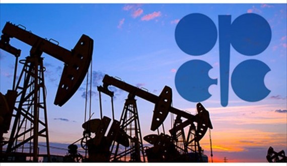 مندوبة الكويت لدى أوبك: لا يمكن خفض إنتاج النفط من جانب واحد