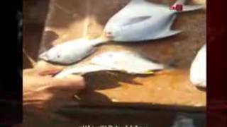 فيديو: البلدية والداخلية تكبس على سوق المهبولة المخالف