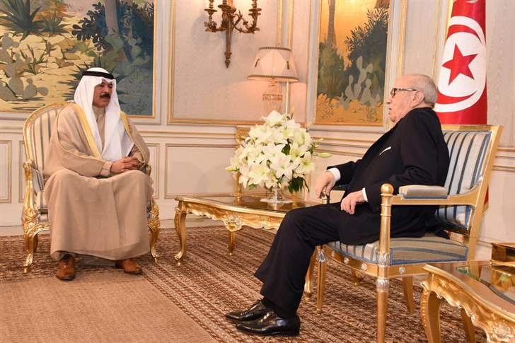 الرئيس التونسي يستقبل نائب رئيس مجلس الوزراء