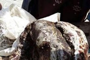 صيادين-يمنيين