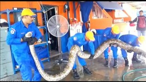 4_12_201693047AM_5009363341