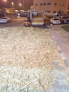 4_14_2016113201AM_8724180001