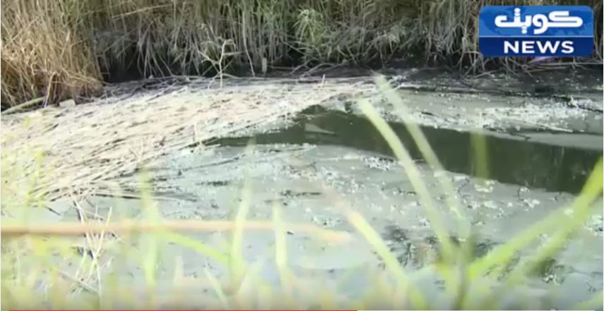 فيديو: ‫هيئة البيئة تدق نواقيس الكارثة البيئية في جون الكويت‬ !!