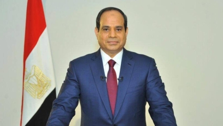 السيسي يرى فرصة حقيقية لدى الاسرائيليين والفلسطينيين لتحقيق السلام