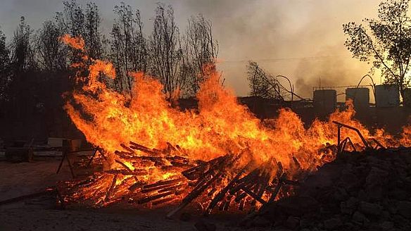 حريق يلتهم اخشاب داخل مزرعة