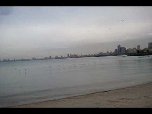 5_9_201640650PM_9832963571