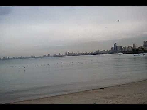 صاعقة تنهي حياة عسكري ومواطن