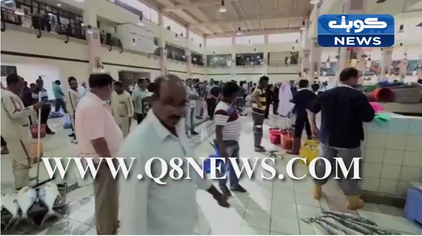 فيديو: الاسعار في سوق السمك .. نار !!