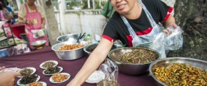 Fried cockroaches, cicadas and other wood grubs for sale at