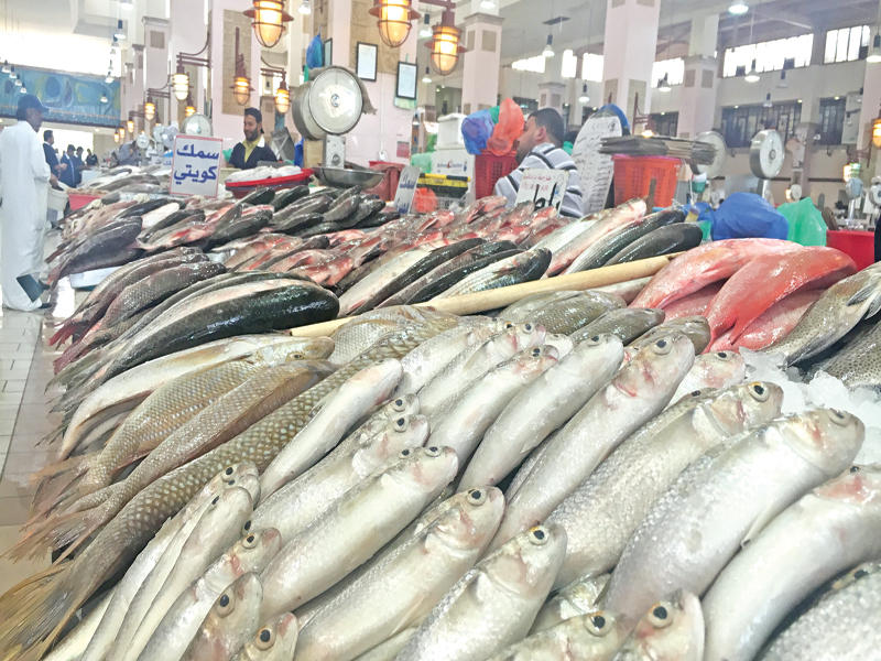 أسعار الأسماك تتراجع إلى النصف… والمستهلك غائب
