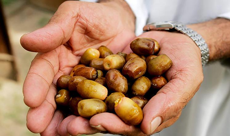 لماذا فضل الرسول الاكرم الإفطار على التمر؟