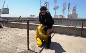 بالفيديو.. هل مقلب رامز جلال لراغب علامة مفبرك.. شاهدوا الخطأ الفاضح!