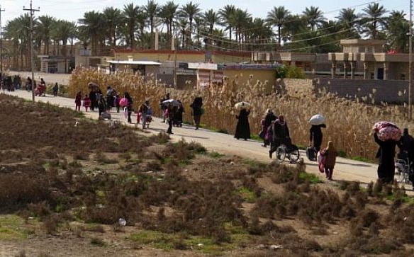 86 ألفا نزوحوا عن الفلوجة مع اشتداد المعارك