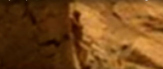 التقاط صورة لمخلوق فضائي بين صخور المريخ!