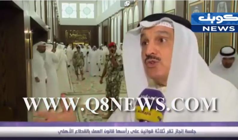 فيديو: المجلس يقر ثلاثة قوانين على رأسها قانون العمل بالقطاع الأهلي