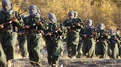 مقتل 8 جنود أتراك بهجمات لحزب العمال الكردستاني في هكاري وماردين