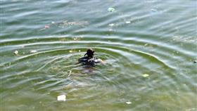 بالصور… فتاة تغرق في بحيرة بالسعودية.. والغواصون ينتشلون جثتها