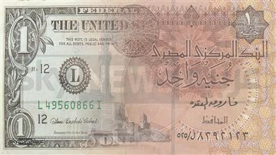 الجنيه المصري يلتقط أنفاسه أمام الدولار