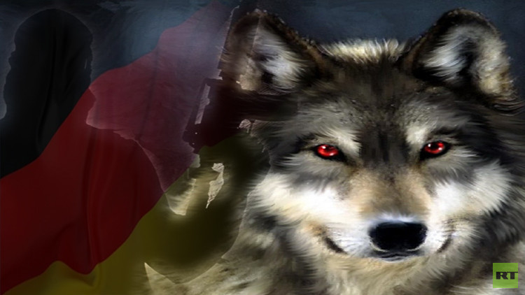 ذئاب ألمانيا مختلة عقليا!