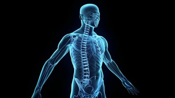 بالفيديو .. لماذا يمتلك الرجل حلمات للصدر؟ .. إكتشف حقائق مثيرة عن الجسم البشري