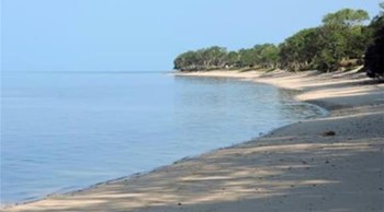 زوجان يبيعان فندقاً في جزيرة مدارية بـ 49 دولاراً فقط