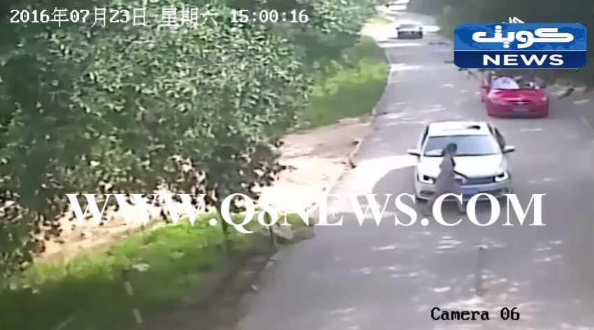 فيديو صادم : نمر يخطف امرأة ويقتلها بعد خروجها من السيارة في ‫#‏الصين‬