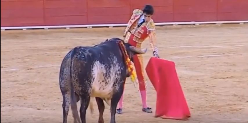 بالفيديو..ثور غاضب ينتقم لاقرانه ويقتل مصارع اسباني على الحلبة…