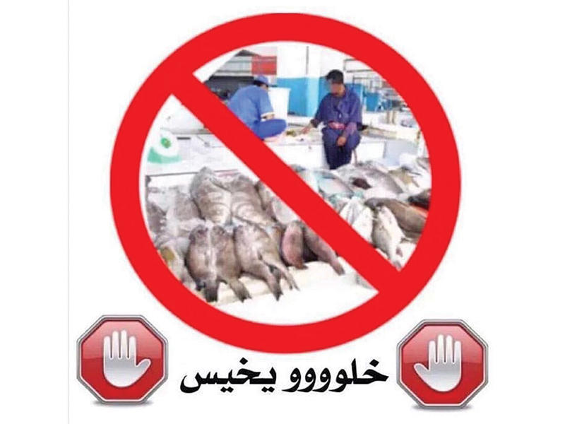 #خلوه_يخيس … حملة لمواجهة غلاء الأسماك والروبيان