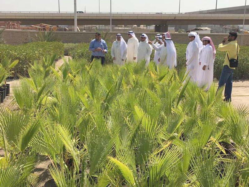 «التطبيقي» تدشن المشروع الوطني لزراعة 100 ألف شتلة برية