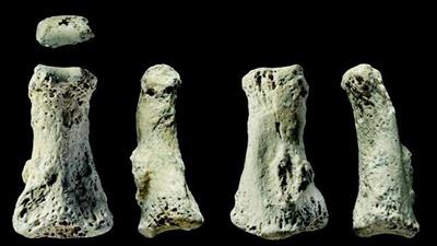 الكشف عن عظام بشرية يعود تاريخها إلى 90 ألف عام في السعودية