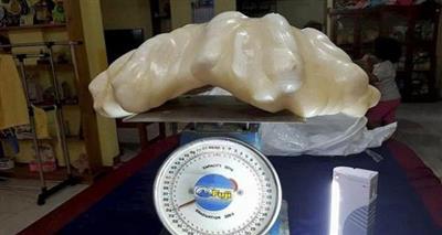 يعثر على لؤلوة بملايين الدولارات.. شاهد ماذا فعل بها!