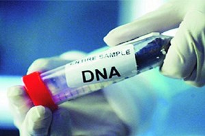 البصمة الوراثية تجرى في الكويت وليس في السفارات