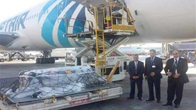 بالفيديو والصور.. بكاء عائلة “زويل” أثناء انتظار الجثمان بمطار القاهرة.. وهذا ماقاله حارس مقبرته