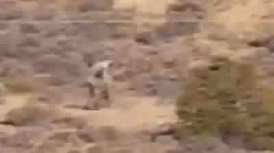 بالفيديو.. مخلوق غريب يشبه الانسان يتجول في الصحراء