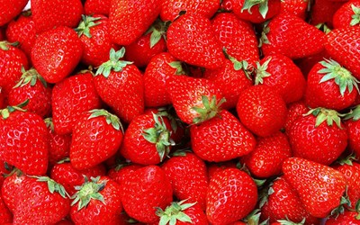 الفراولة المصرية تتسبب بكارثة صحية في اميركا.. وهكذا ردت مصر