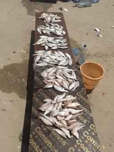 8_19_201655301PM_8868782751