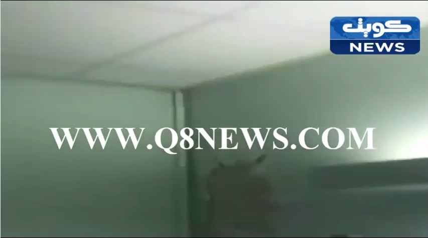 بالفيديو…حالة كارثية لا تصدق لـ #مستشفى_العدان
