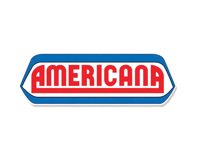 «الاستثمارات» تخاطب هيئة الأسواق والبورصة لإعلان مزاد «أمريكانا»