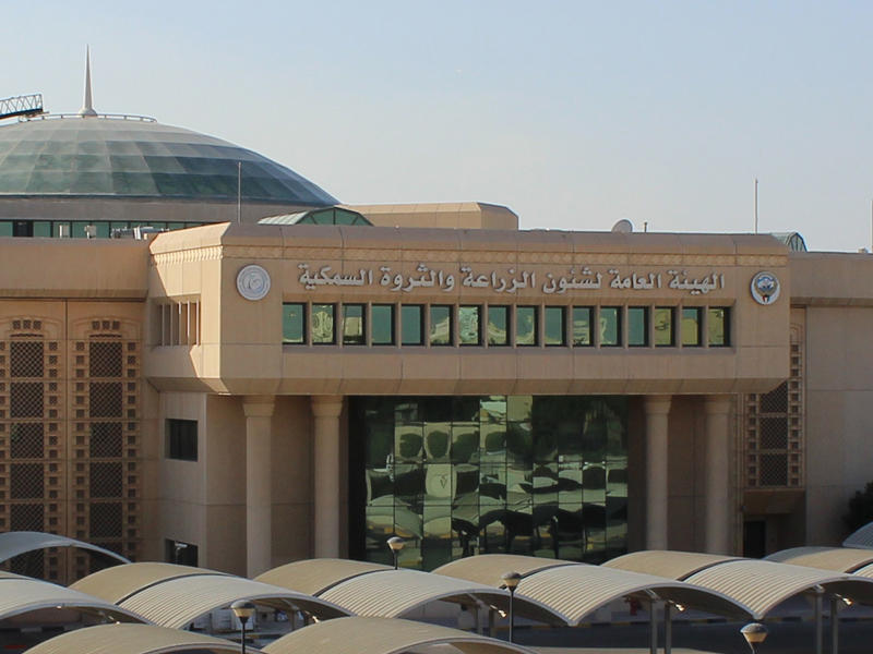 «الأموال العامة» تحدد مسؤولية موظفي «الزراعة» في التزوير اليوم