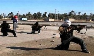 19_11_2013_1156902305_60968