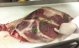 ضبط مطاعم في شارع الخليج العربي تورطت في عمليات غش في اللحوم