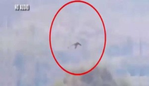 طائر ضخم يشبه التنين يحلّق في الصين